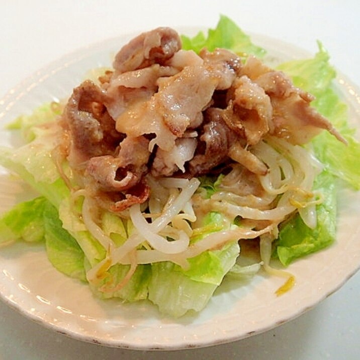 麺つゆ/わさびドレで　レタスともやしと豚肉のサラダ